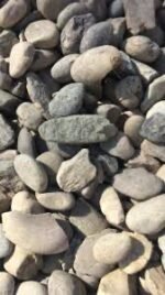 ‎دینا بجر - Image 2